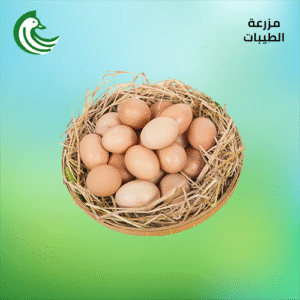 بيض بلدي