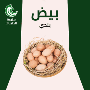 طبق بيض بلدي