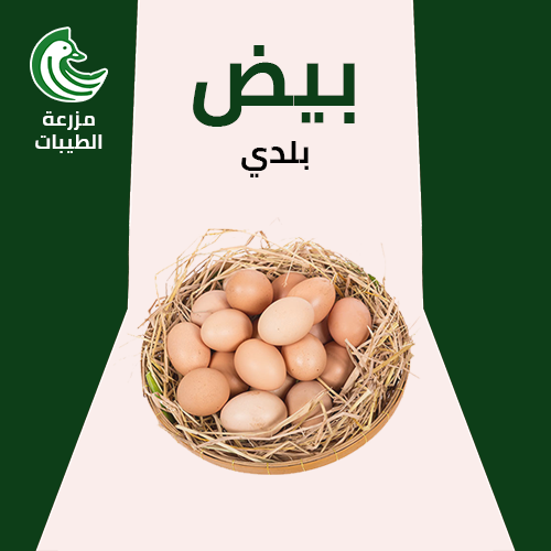 طبق بيض بلدي