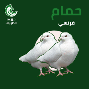 زوج حمام فرنسي