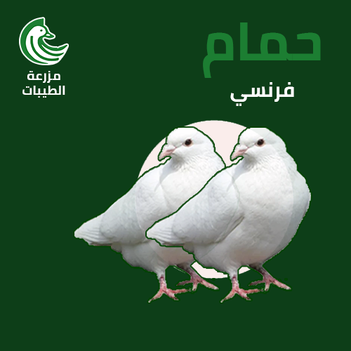 زوج حمام فرنسي